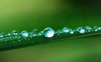 清新护眼水珠高清桌面壁纸