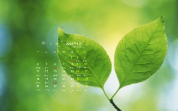 2016年1月日历绿色树叶护眼桌面壁纸下载