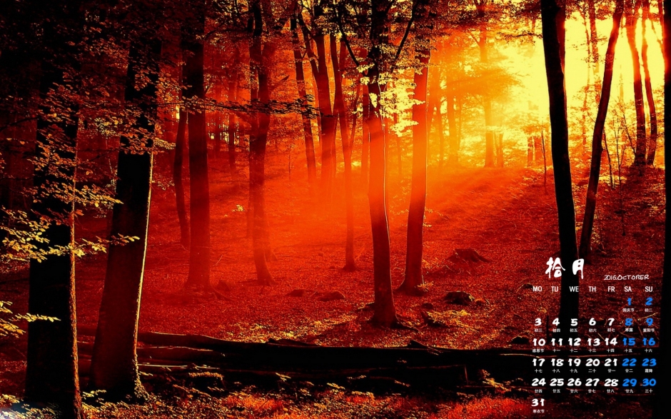 小清新壁纸唯美自然风景精选小清新壁纸图片大全