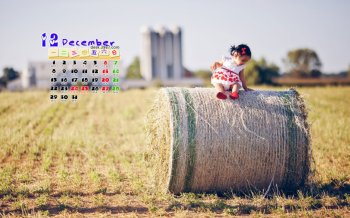 2014年12月唯美日历高清电脑桌面主题壁纸图片下载