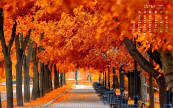 2016年3月日历两行枫叶林壁纸图片