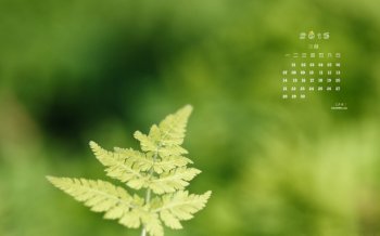 2015年9月日历护眼唯美风景桌面壁纸图片下载2