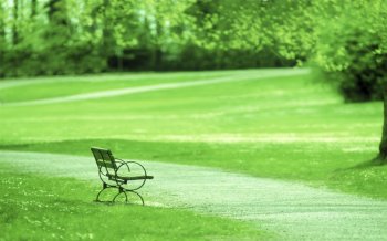 绿色高清护眼桌面壁纸