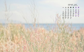 2016年3月日历春天小清新唯美风景摄影图电脑桌面壁纸