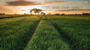 2014年11月日历壁纸好看的绿色景色高清护眼图片合集