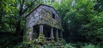 天空，森林，灌丛，房子，苔藓，台阶，风景桌面壁纸