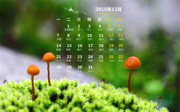 2015年12月日历精选清新桌面壁纸下载1