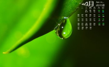 小清新自然景色自然绿养眼绿色壁纸高清图片下载桌面壁纸