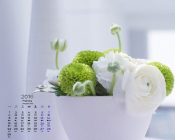 2016年2月日历绿色护眼清新盆栽电脑高清壁纸图片下载