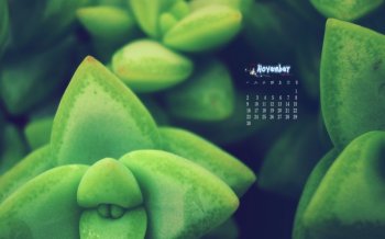 2015年11月日历小清新绿色护眼桌面壁纸下载4