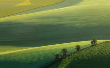 大草原清新护眼图片win7壁纸