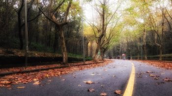 唯美意境城市风光高清桌面壁纸