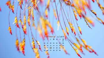 2015年2月日历壁纸精选大自然唯美好看的花卉素材图片下载