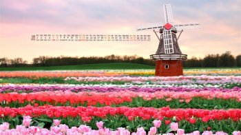 2016年3月日历壁纸唯美郁金香花海图片