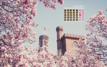 2015年2月清新日历壁纸下载