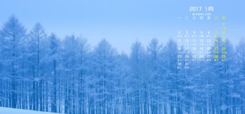 冬天树林雪景2017年1月风景日历桌面壁纸