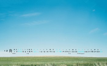 2016年12月日历辽阔的大草原绿色风景电脑背景壁纸