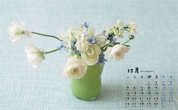 2016年12月日历小清新盆栽高清电脑壁纸图片大全