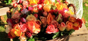 篮子，花束，玫瑰，鲜花桌面壁纸