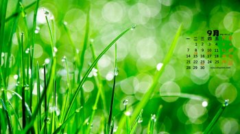 2015年9月日历自然植物唯美风景图集壁纸2下载