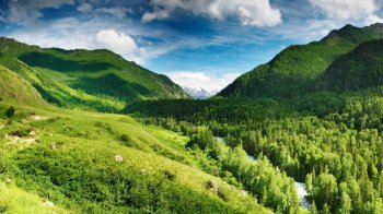 自然景色清新电脑壁纸1下载