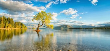 新西兰，南岛，湖，树，天空，白云，自然风景壁纸