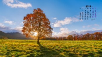 2015年12月日历自然美景唯美合集电脑宽屏桌面壁纸2下载