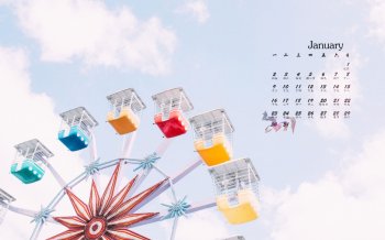 2017年1月唯美意境小清新静物日历壁纸