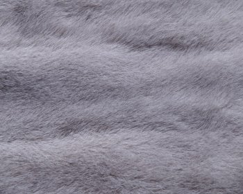 动物皮毛纹理 第二辑