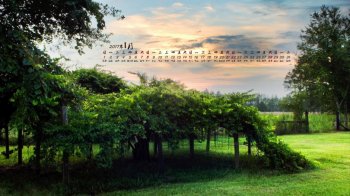 2017年1月蓝色大草原清新护眼桌面日历壁纸