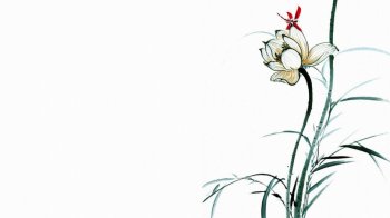 好看的简约中国风手绘素描荷花图片桌面壁纸高清