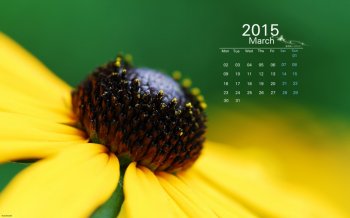 2015年3月日历壁纸精选炎炎夏日大自然唯美植物高清素材图片下载