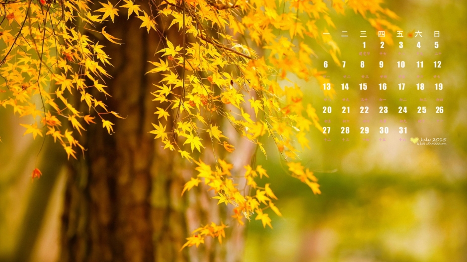 黄色也有唯美的图片唯美黄色树叶高清图片作为壁纸更加吸引人