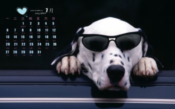 2015年7月日历精选斑点犬帅气时尚电脑壁纸下载