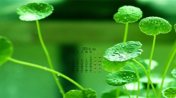 2016年1月日历自然唯美护眼清新桌面壁纸1下载