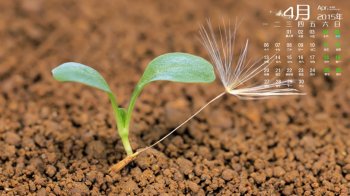 2015年4月日历唯美静态的绿色养眼植物清新水珠高清图片电脑桌面壁纸