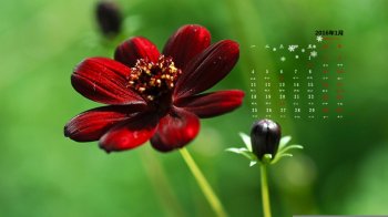 2016年1月日历壁纸精选小清新风景图片4