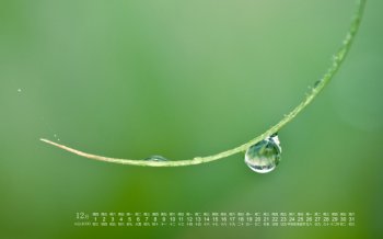 2016年12月日历绿色简约桌面壁纸