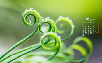 2015年11月日历清新护眼小清新桌面壁纸图片3下载