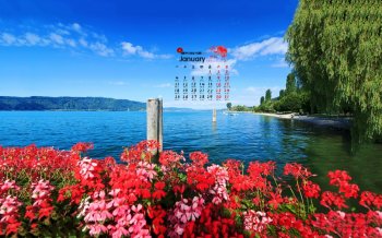 2016年1月日历唯美清新花卉桌面壁纸下载7