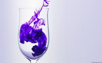 唯美花朵植物高清电脑壁纸大全