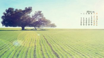 2016年1月日历清新简约护眼桌面壁纸图片7下载