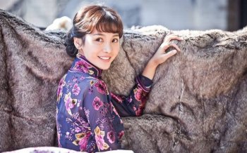 《少帅》柳岩透视旗袍电脑壁纸