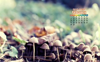 2016年2月日历唯美淡雅桌面壁纸下载