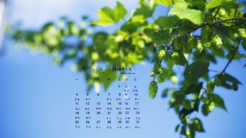 2016年1月日历护眼小清新桌面壁纸