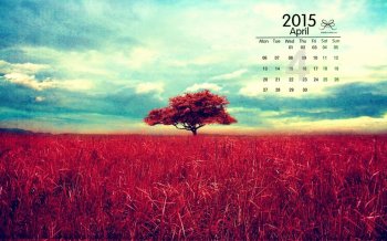 高清创意壁纸创意设计红色田野里的红色大树高清图片