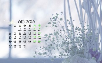2016年6月日历非主流空色时间lomo高清壁纸下载