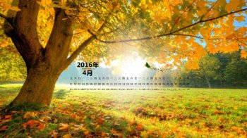 2016年4月日历秋天森林唯美风景壁纸