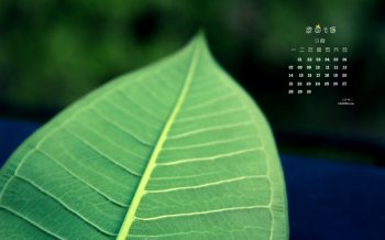 2015年9月日历清新风景唯美意境桌面壁纸下载7