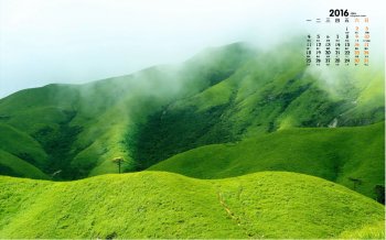 2016年1月日历绿色清新桌面壁纸5下载